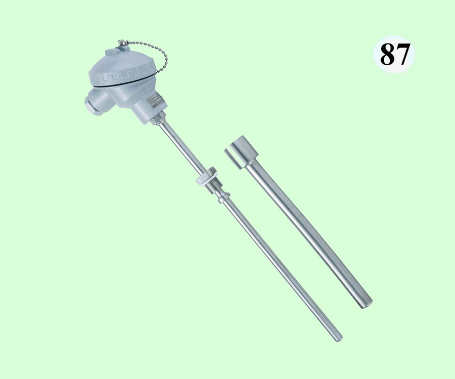 WZPKB-2313溫度變送器/傳感器（帶護(hù)套）